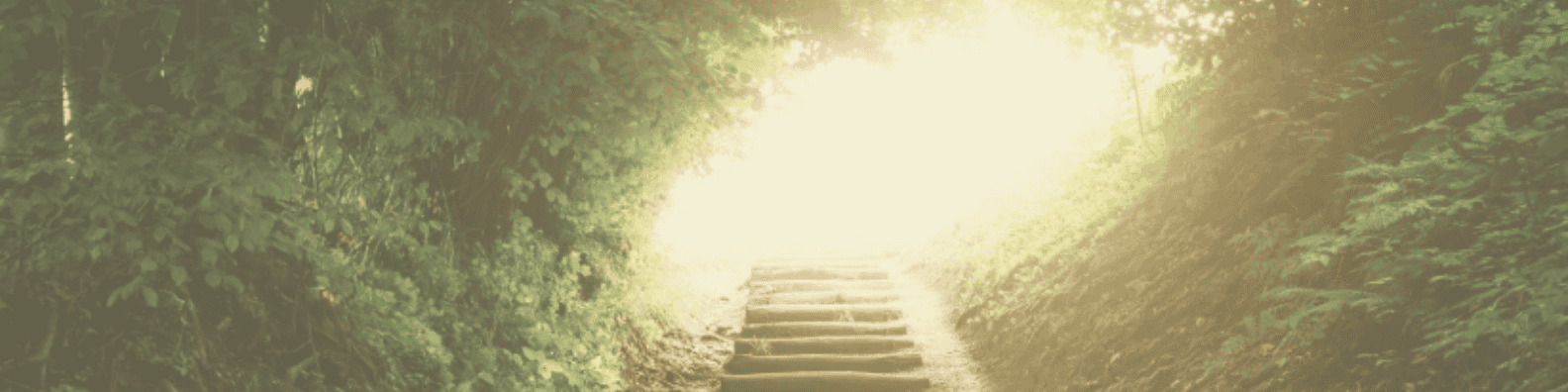 Headerbild New Work