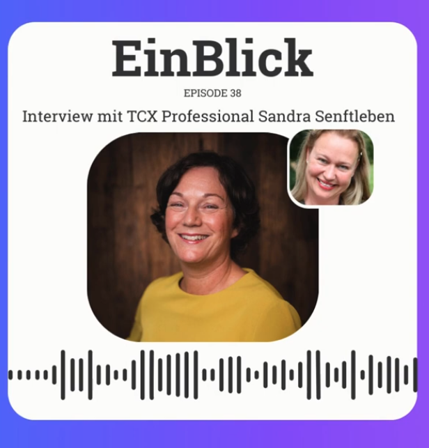 EinBlick Podcast