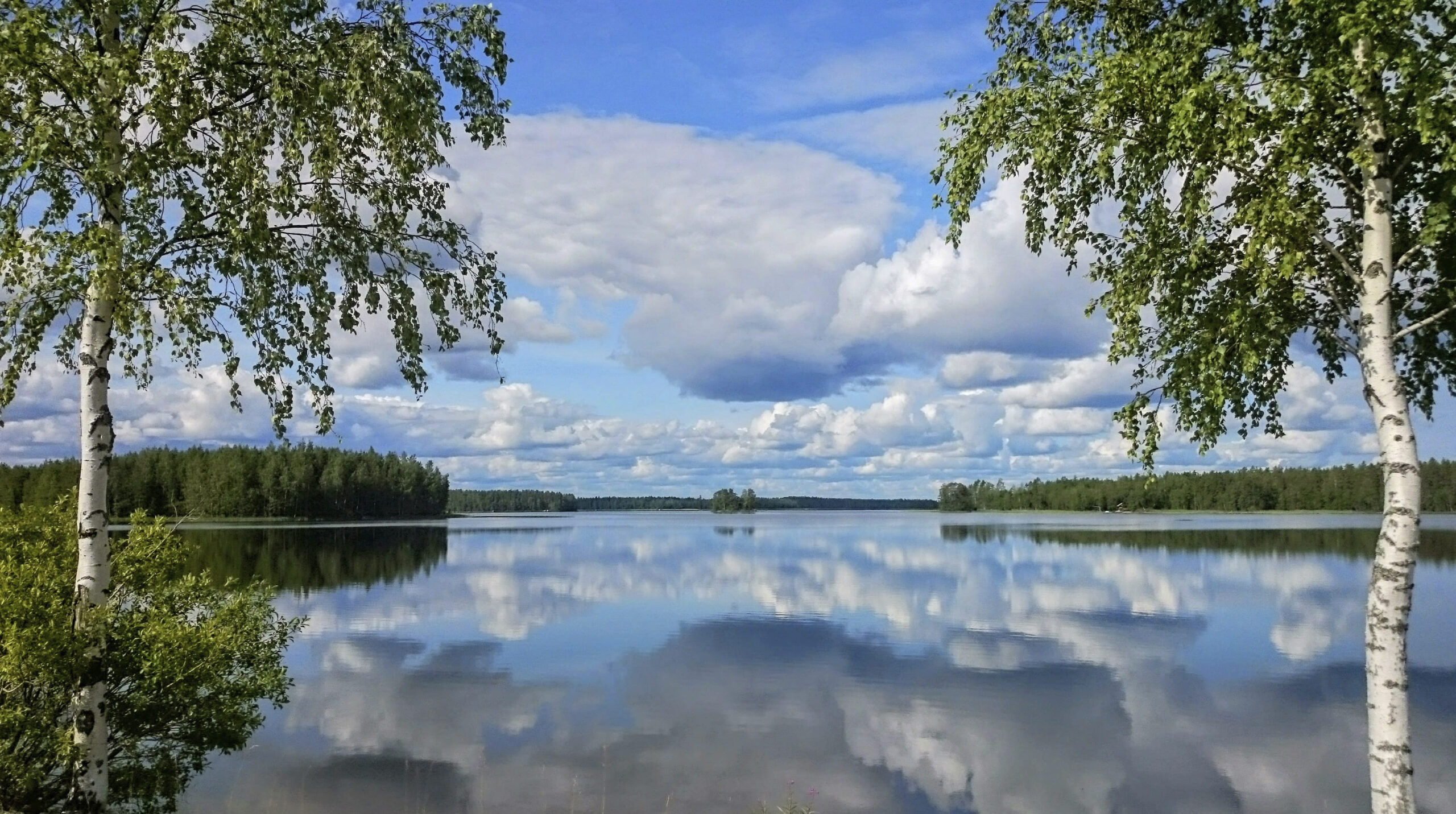 Seeblick_mit_Spiegelung_und_Birken